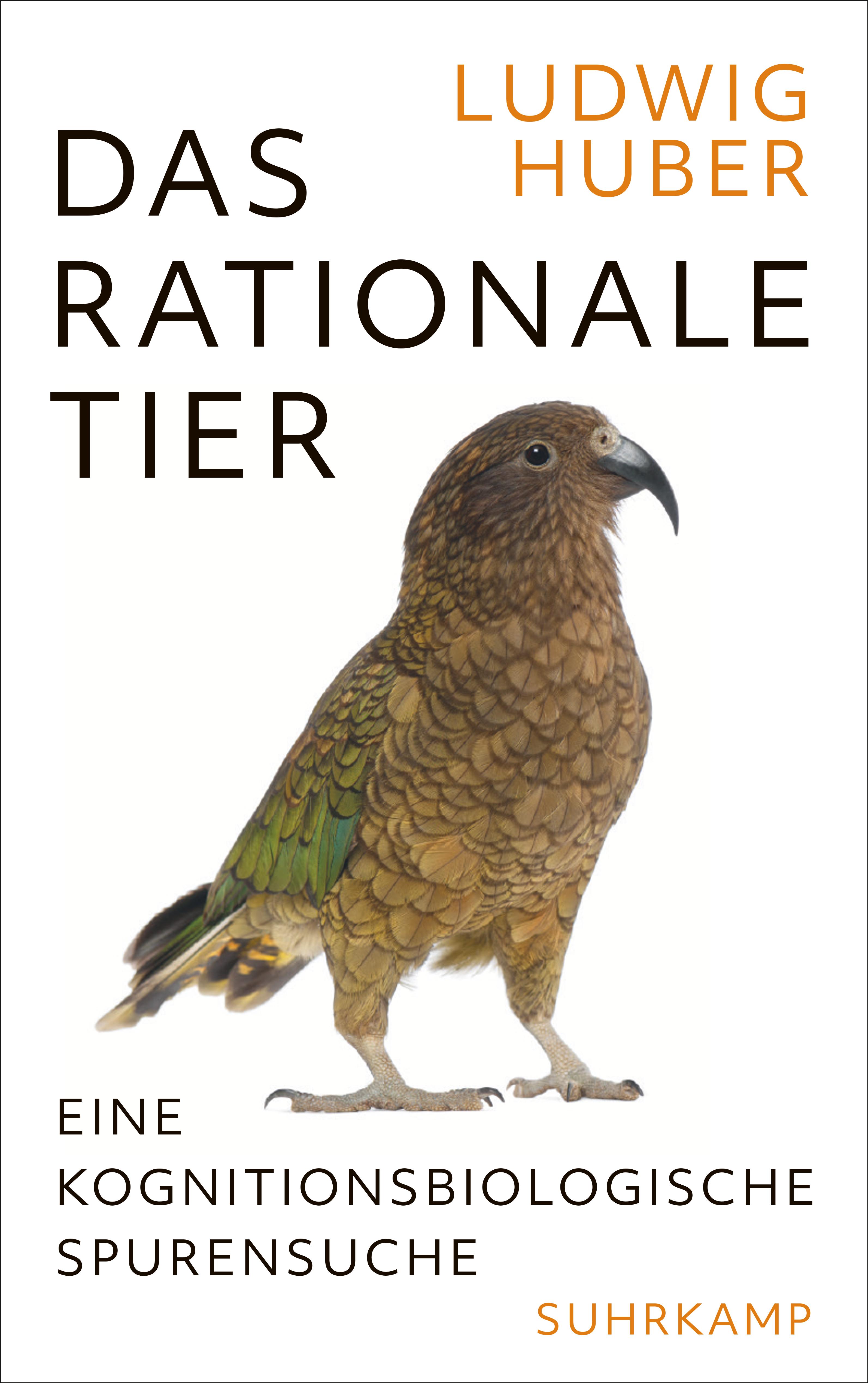 Huber das rationale t cover